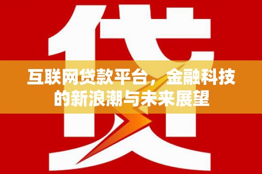 理塘互联网贷款平台，金融科技的新浪潮与未来展望