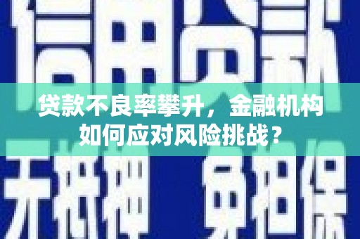 理塘贷款不良率攀升，金融机构如何应对风险挑战？