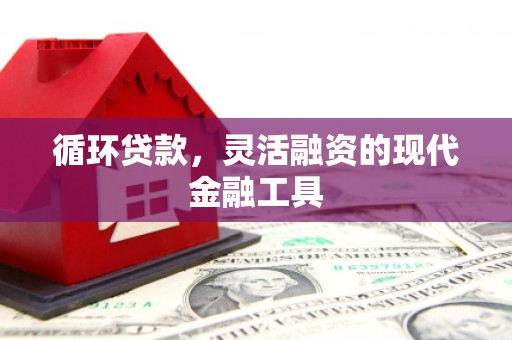 理塘循环贷款，灵活融资的现代金融工具