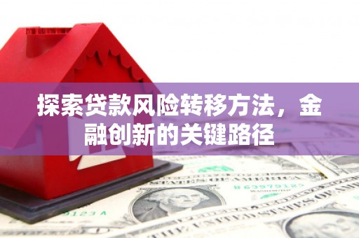 理塘探索贷款风险转移方法，金融创新的关键路径