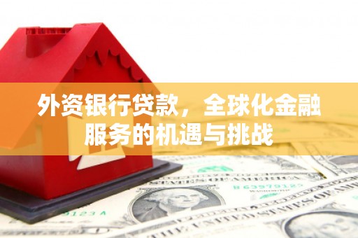 理塘外资银行贷款，全球化金融服务的机遇与挑战