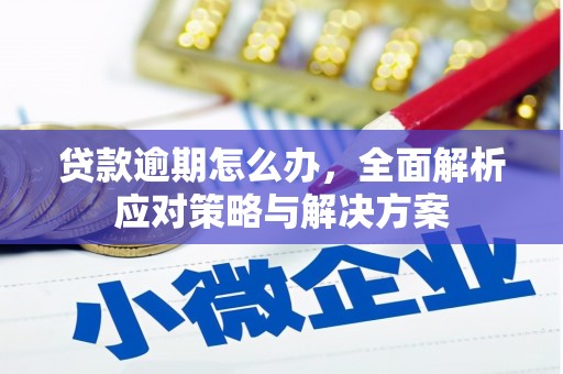 理塘贷款逾期怎么办，全面解析应对策略与解决方案